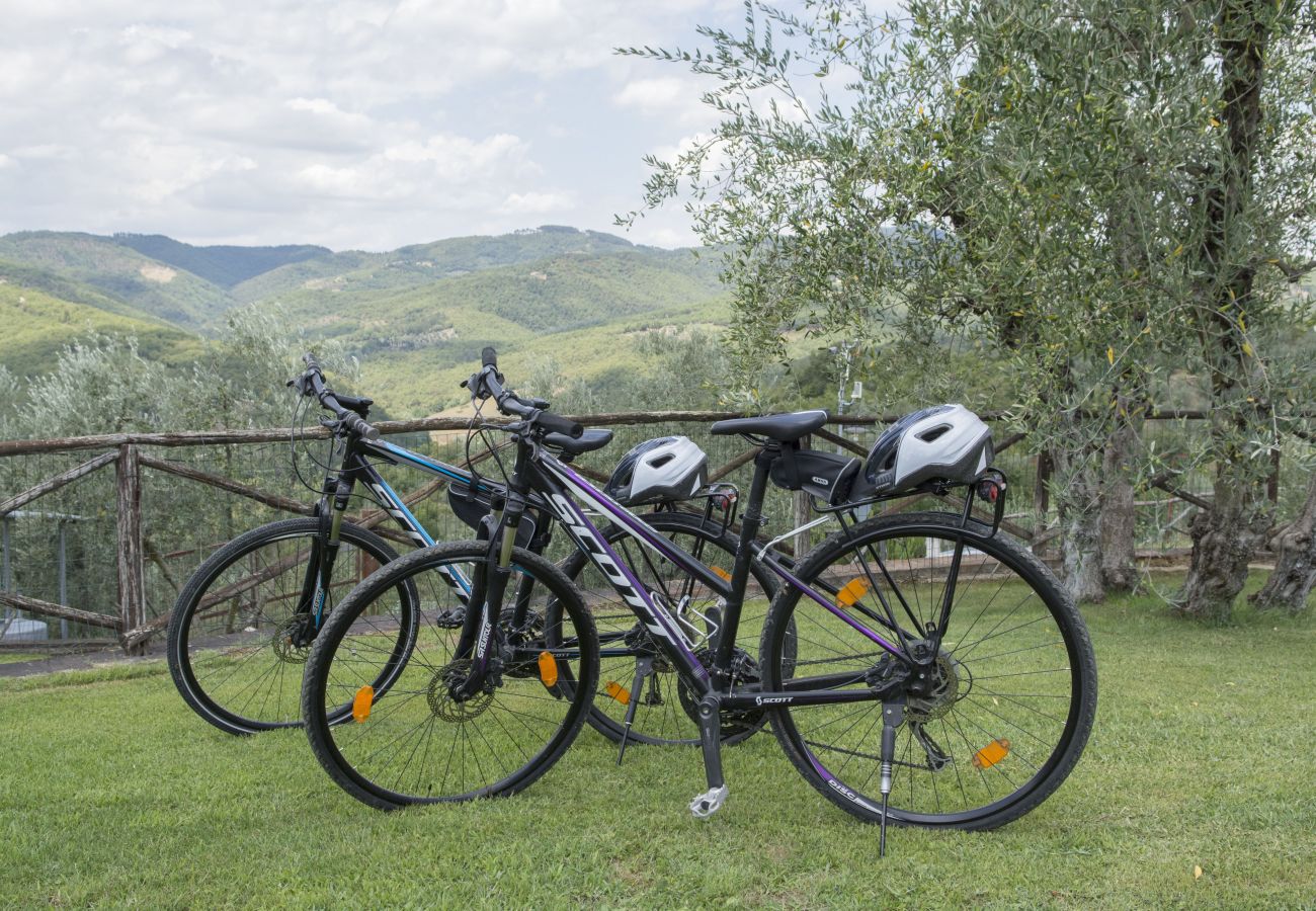 Ferienwohnung in Bucine - Romantic with Chianti Panorama at Marioli