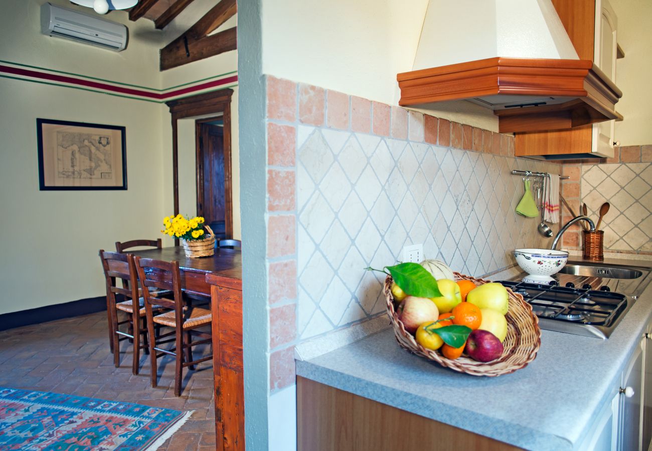 Ferienwohnung in Cinigiano - Typical Stone House looking Banfi Wineries