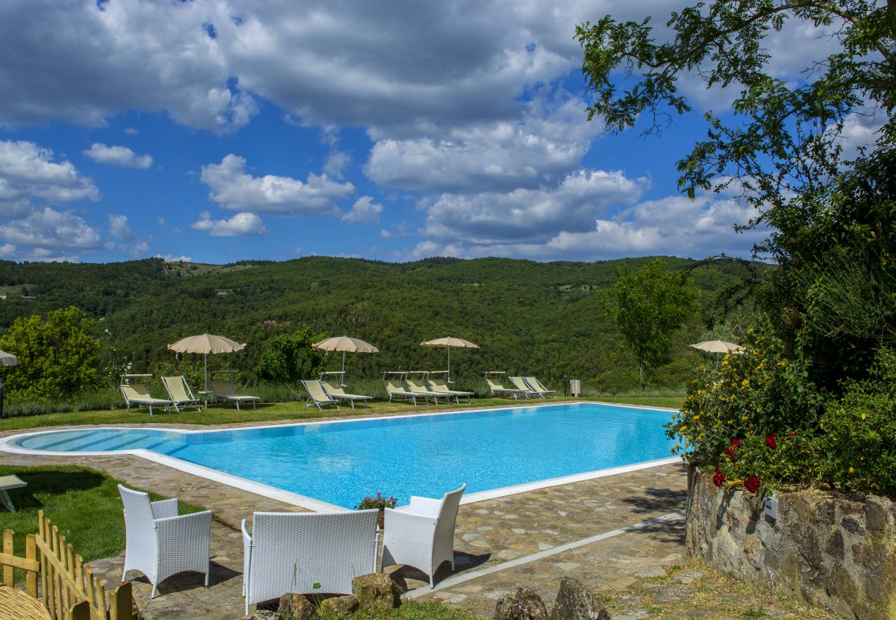 Ferienwohnung in Castellina in Chianti - Bellavista della Rocca in Chianti