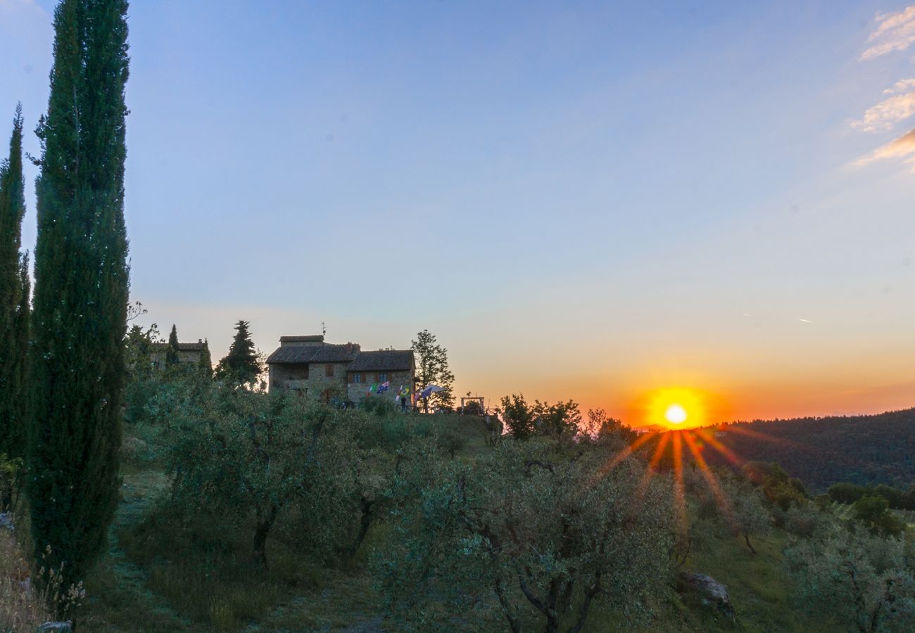 Ferienwohnung in Castellina in Chianti - Il Portico della Rocca in Chianti