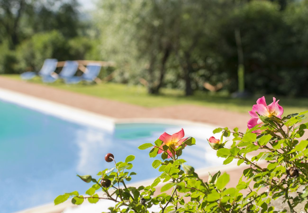 Ferienwohnung in Monte San Savino - Bio Lavanda Organic Agritourism