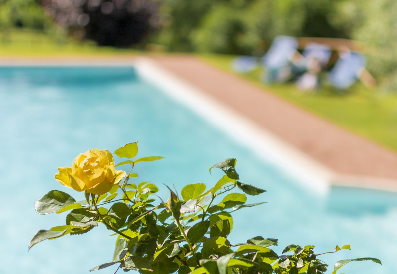 Ferienwohnung in Monte San Savino - Bio Lavanda Organic Agritourism