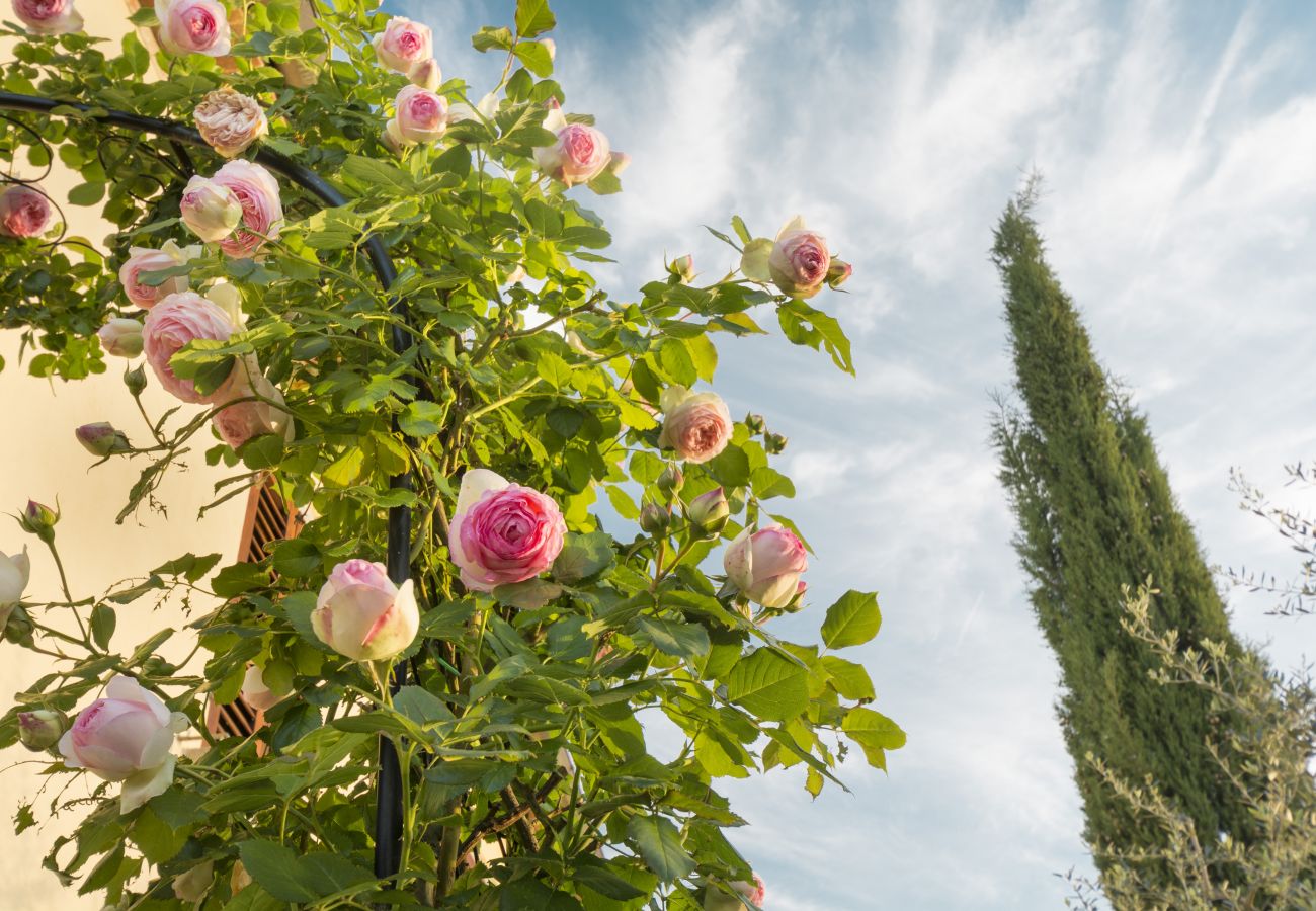 Ferienwohnung in Monte San Savino - Bio Bigonia Organic Agritourism