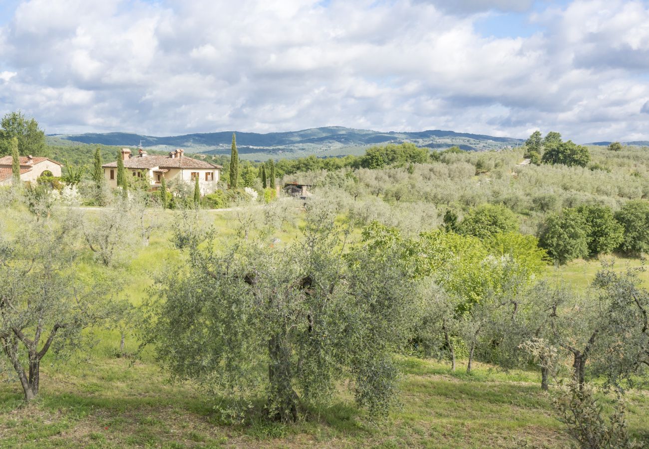 Ferienwohnung in Monte San Savino - Bio Bigonia Organic Agritourism