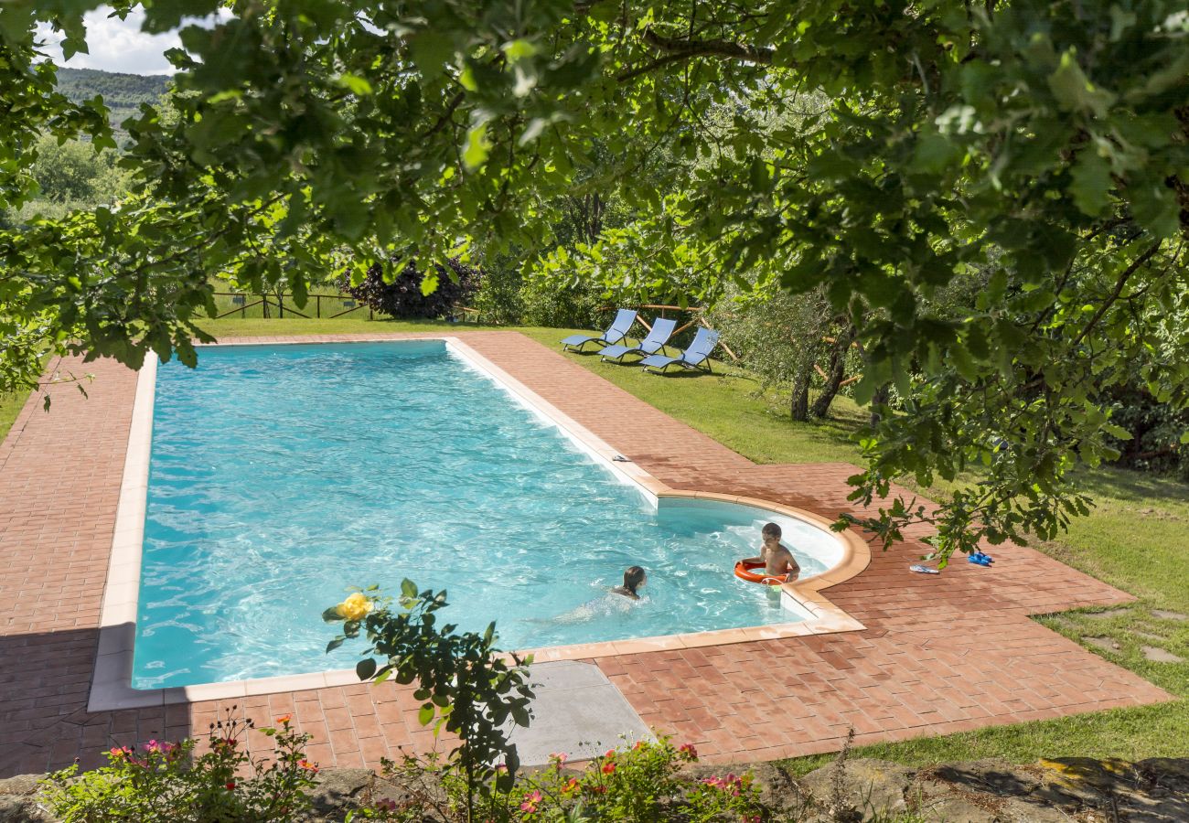 Ferienwohnung in Monte San Savino - Bio Bigonia Organic Agritourism