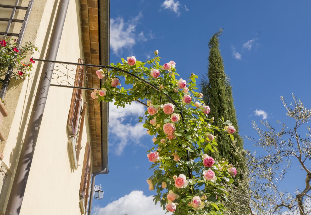 Ferienwohnung in Monte San Savino - Bio Organic Twins Agritourism