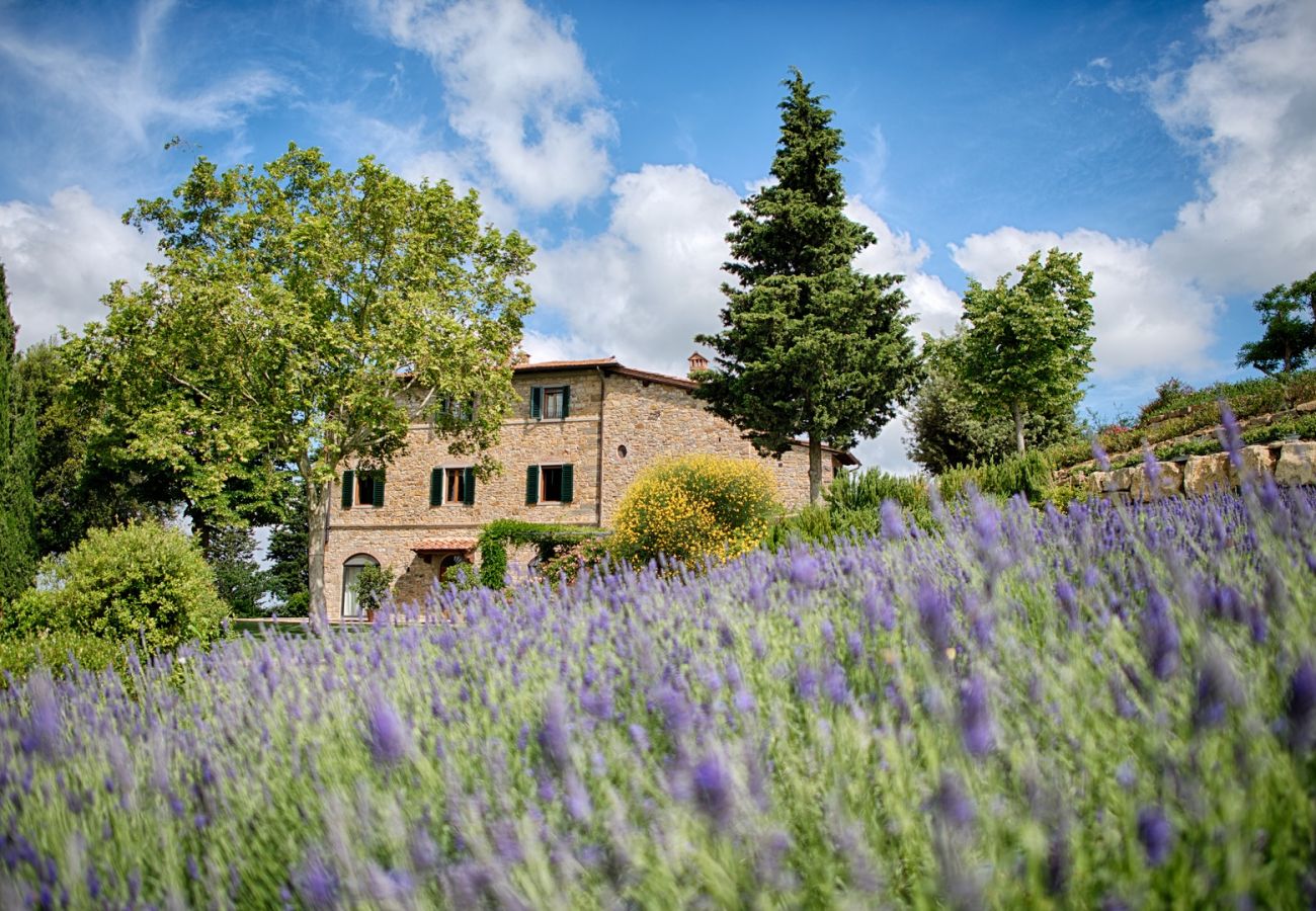 Ferienwohnung in Panzano - Luxury Chianti in La Rosa in Panzano Chianti