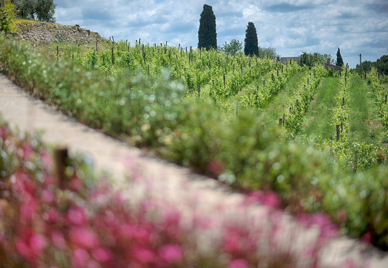 Ferienwohnung in Panzano - Luxury Chianti in La Farfalla in Panzano Chianti