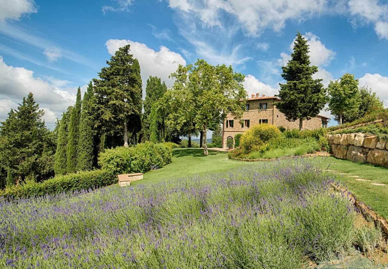 Ferienwohnung in Panzano - Luxury Chianti in Olive in Panzano Chianti