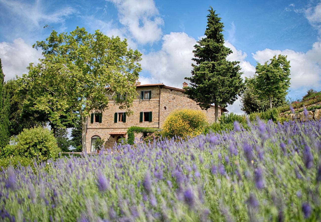 Ferienwohnung in Panzano - Luxury Chianti in Olive in Panzano Chianti