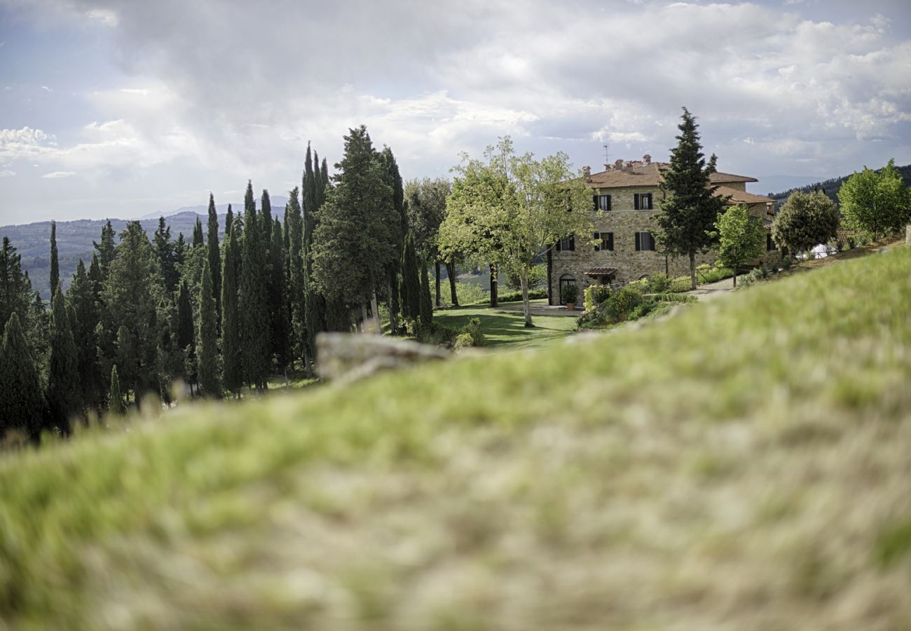 Ferienwohnung in Panzano - Luxury Chianti in Olive in Panzano Chianti