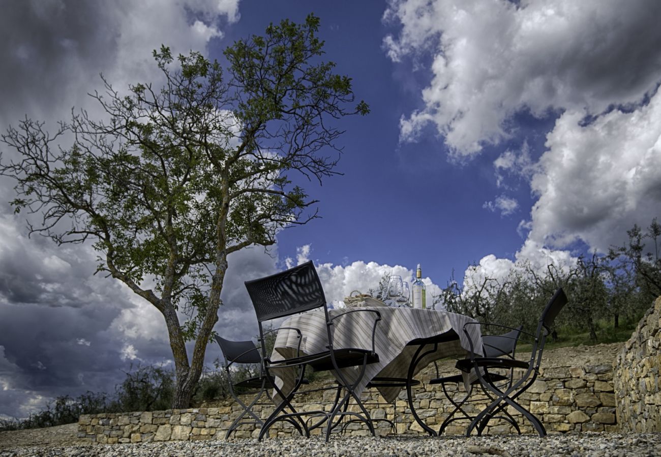 Ferienwohnung in Panzano - Luxury Chianti between Grapes in Panzano Chianti