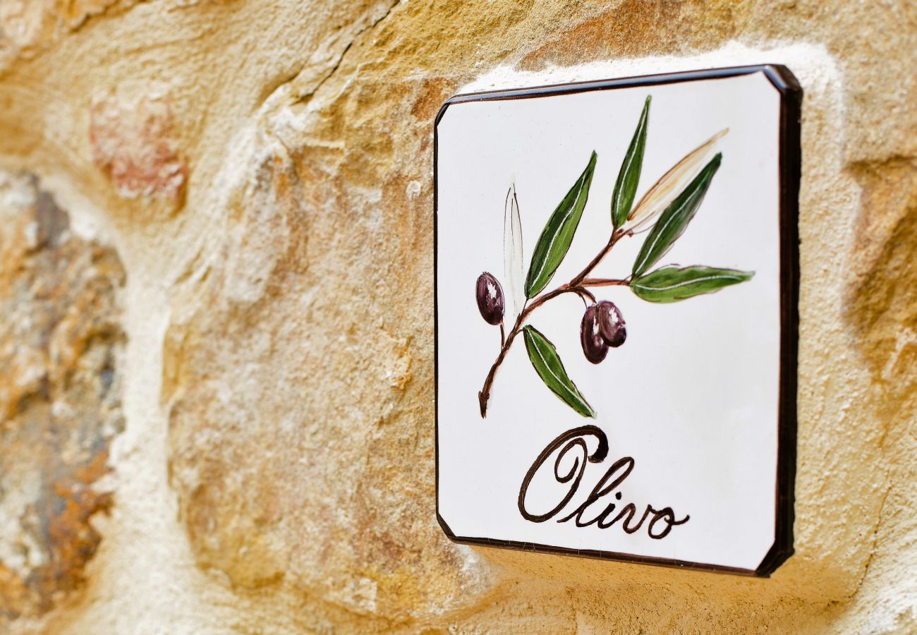 Ferienwohnung in Trequanda - Luxury 3 Rooms Apt. Olives in Siena Resort