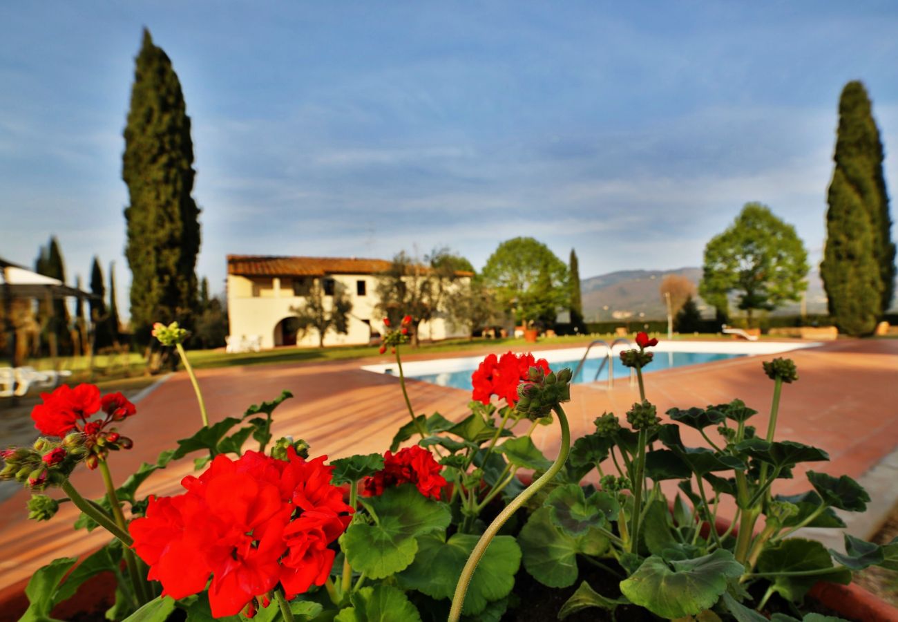 Ferienwohnung in Rignano sull´Arno - Fattoria del Chianti close to Florence for two