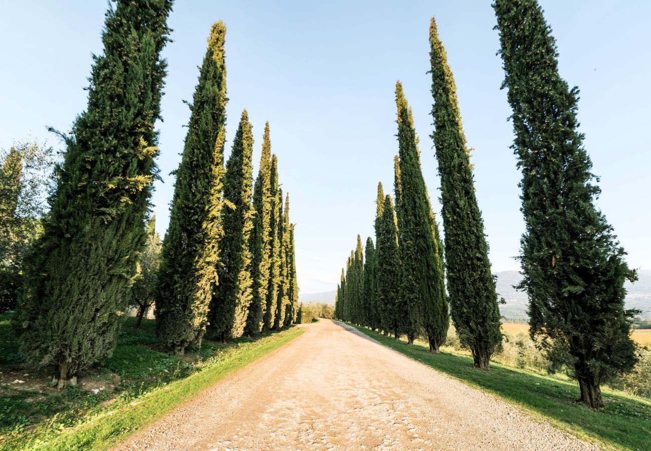 Ferienwohnung in Rignano sull´Arno - Fattoria del Chianti close to Florence for two