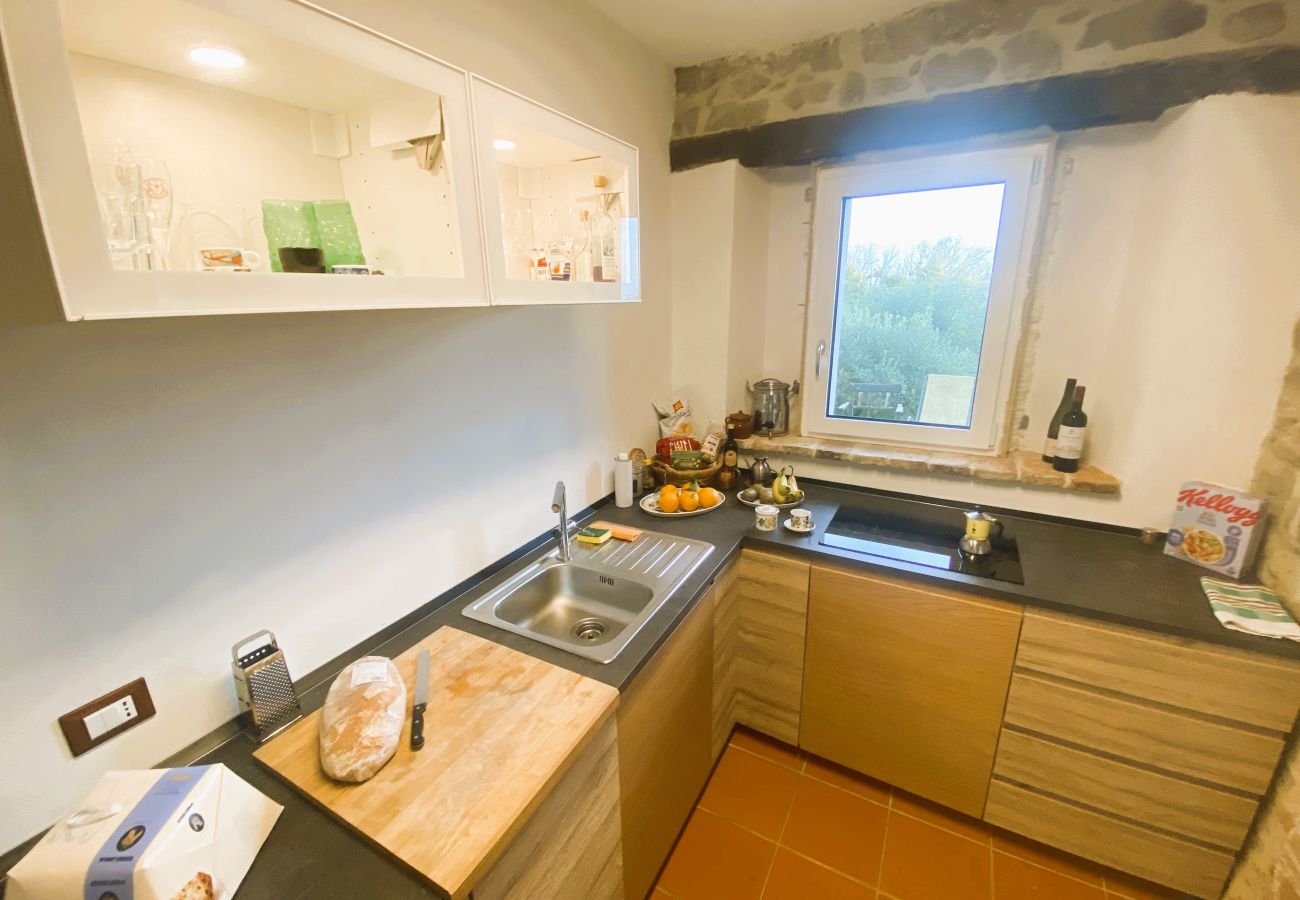 Ferienwohnung in Monte San Savino - Villa Ceppeto Brand New Nest