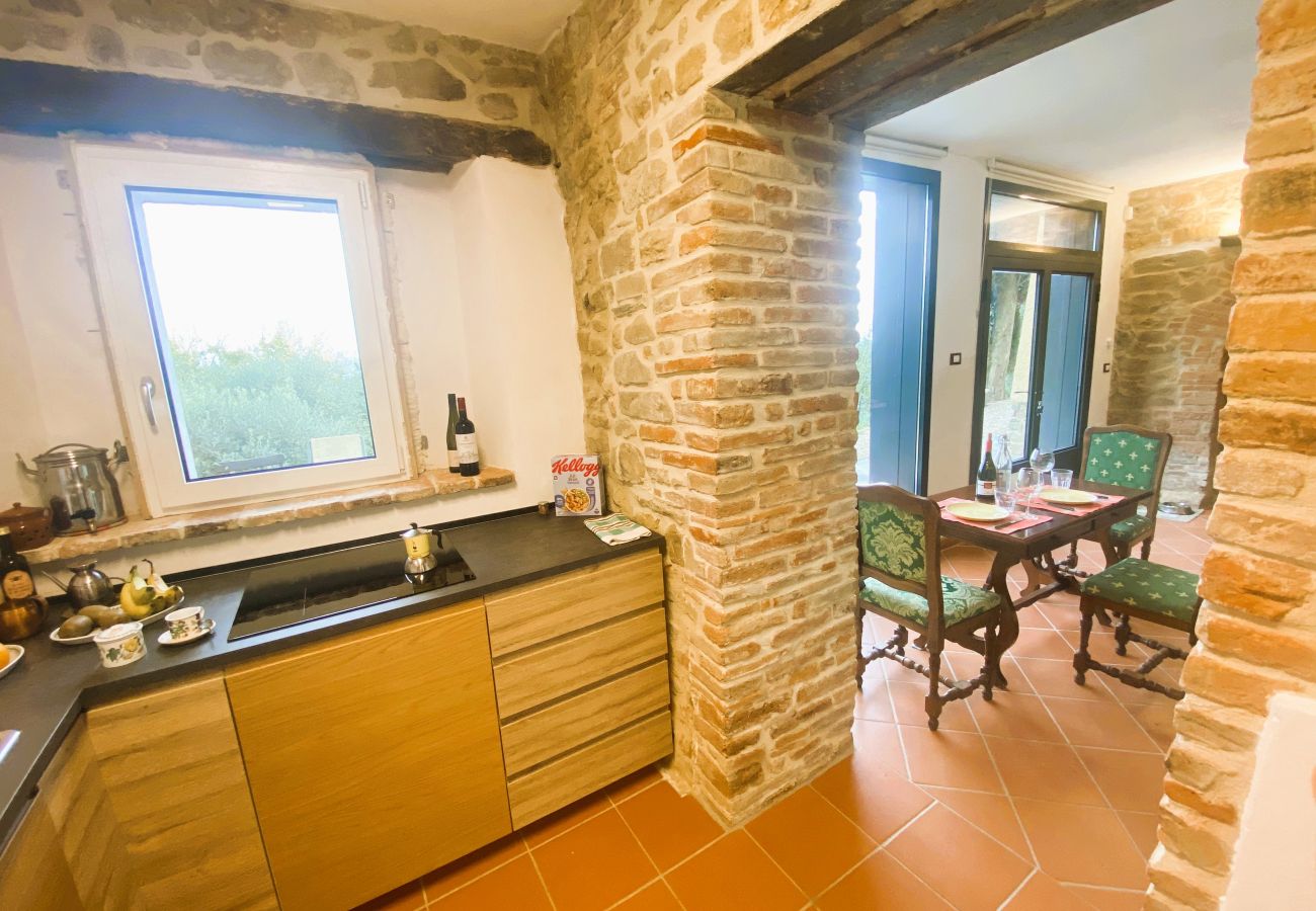 Ferienwohnung in Monte San Savino - Villa Ceppeto Brand New Nest