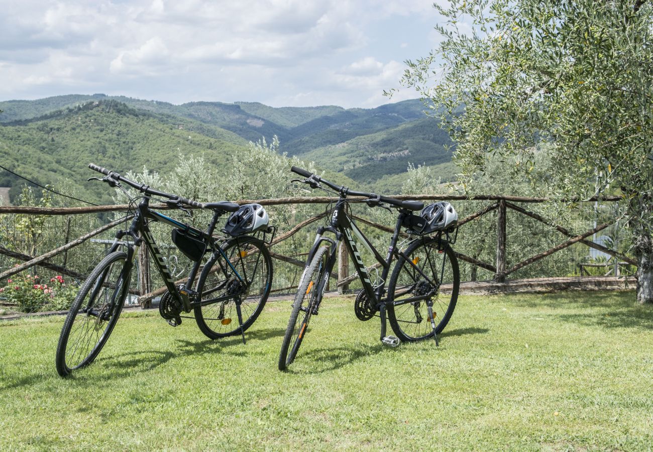 Appartamento a Bucine - Under the Chianti Sun at Marioli