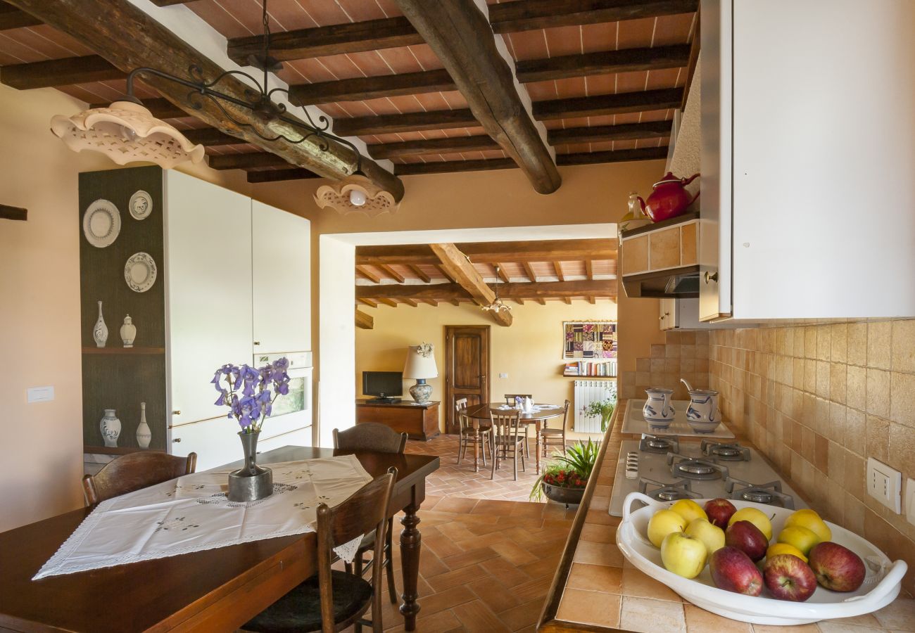 Villa in Monte San Savino - Bio Organic Villa Agritourism