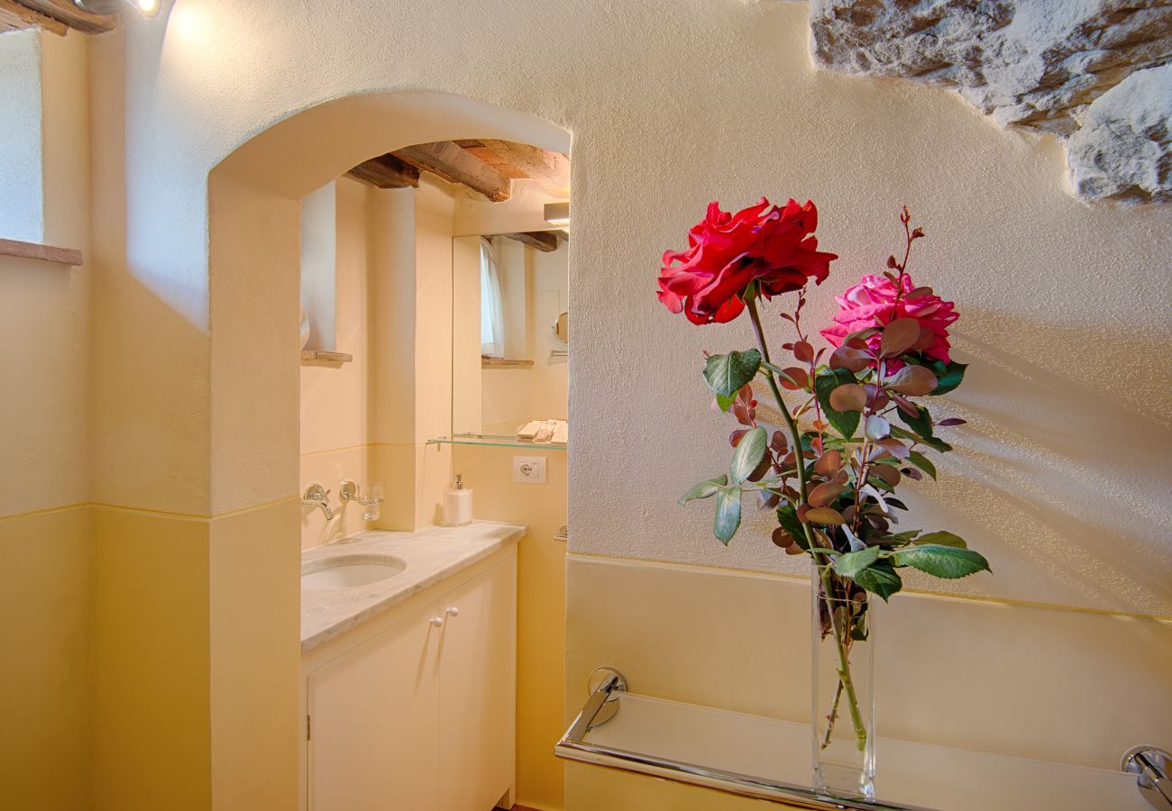 Appartement in Panzano - Luxury Chianti between Grapes in Panzano Chianti