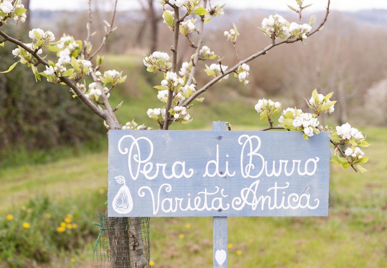 Apartment in Monte San Savino - Bio Lavanda Organic Agritourism