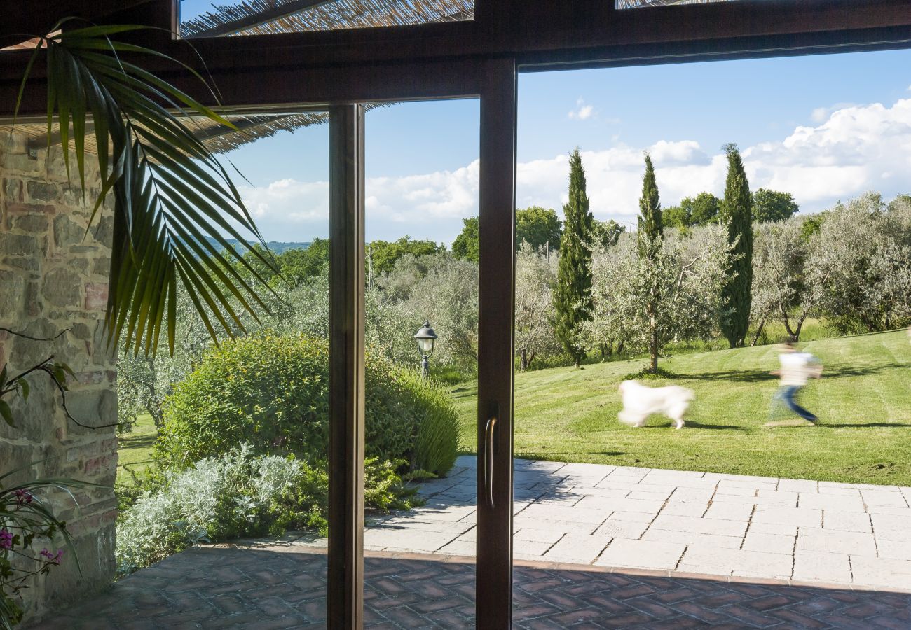 Apartment in Monte San Savino - Bio Organic Twins Agritourism